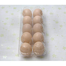 Venda Por Atacado Hot Sale Plastic Egg Tray Fabricante